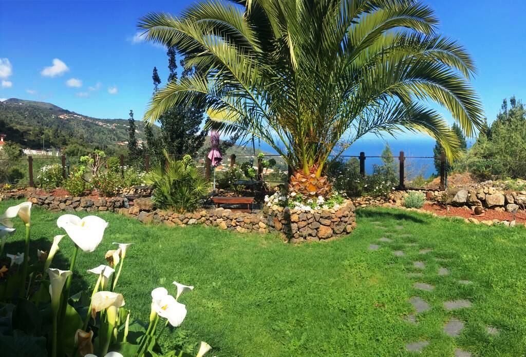 Photo of Outdoor in Icod de los Vinos