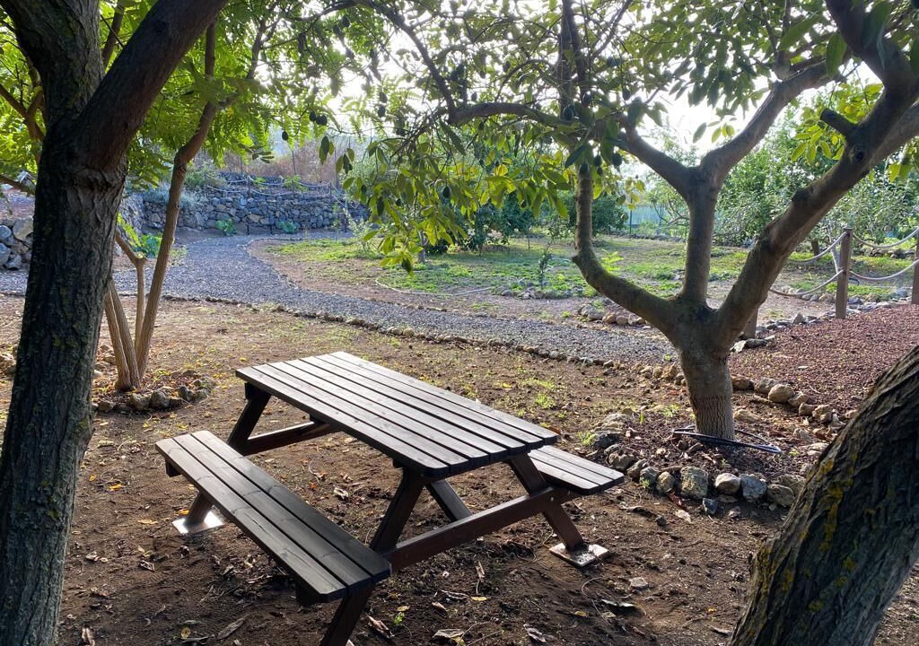Photo of Outdoor in Icod de los Vinos