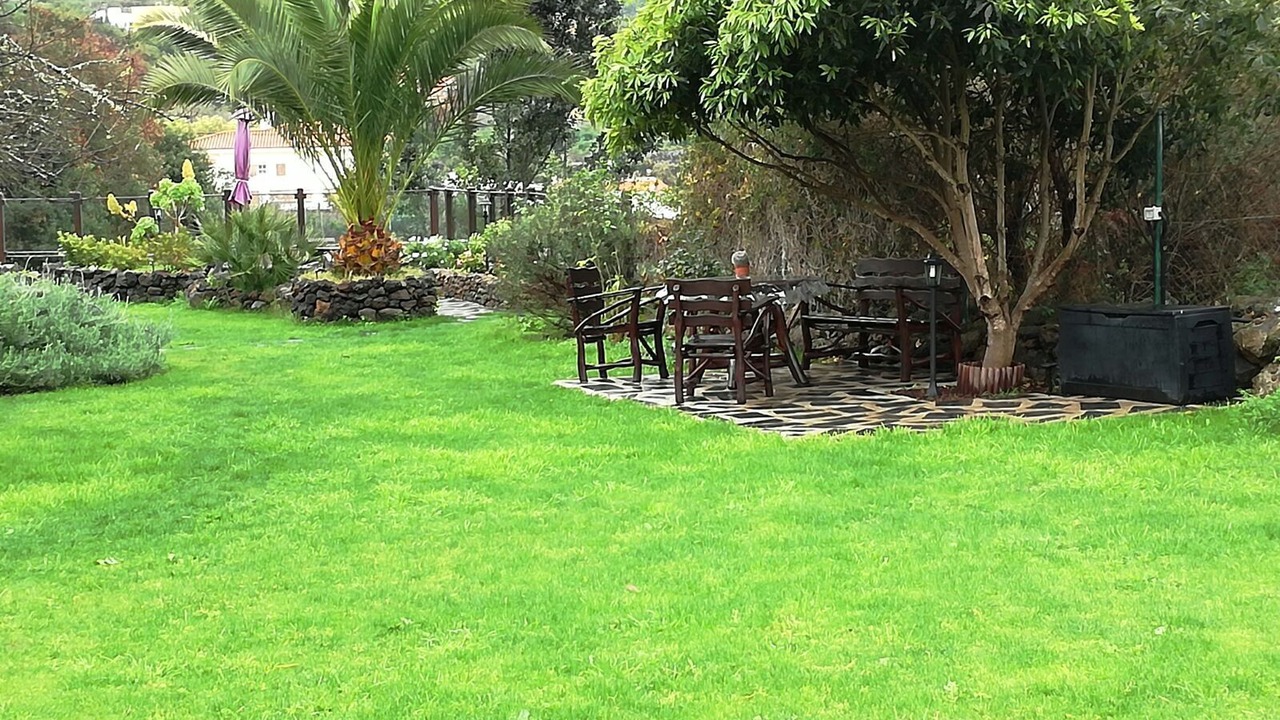 Photo of Outdoor in Icod de los Vinos