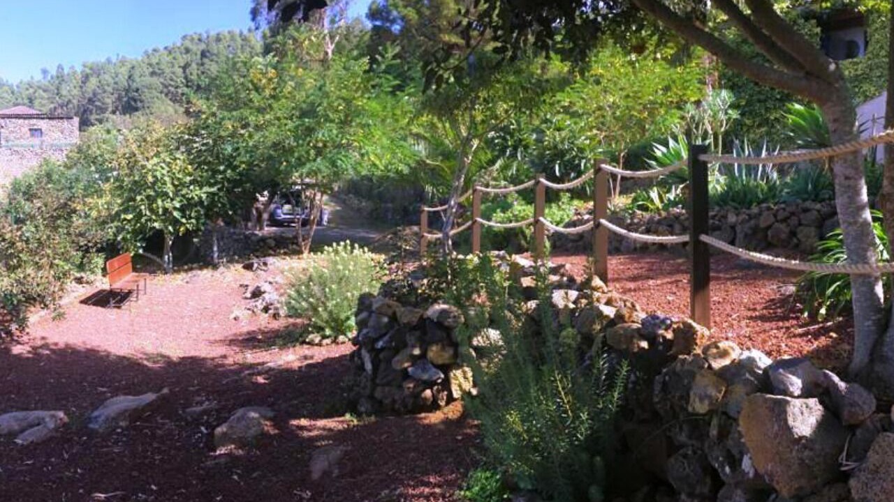 Photo of Outdoor in Icod de los Vinos