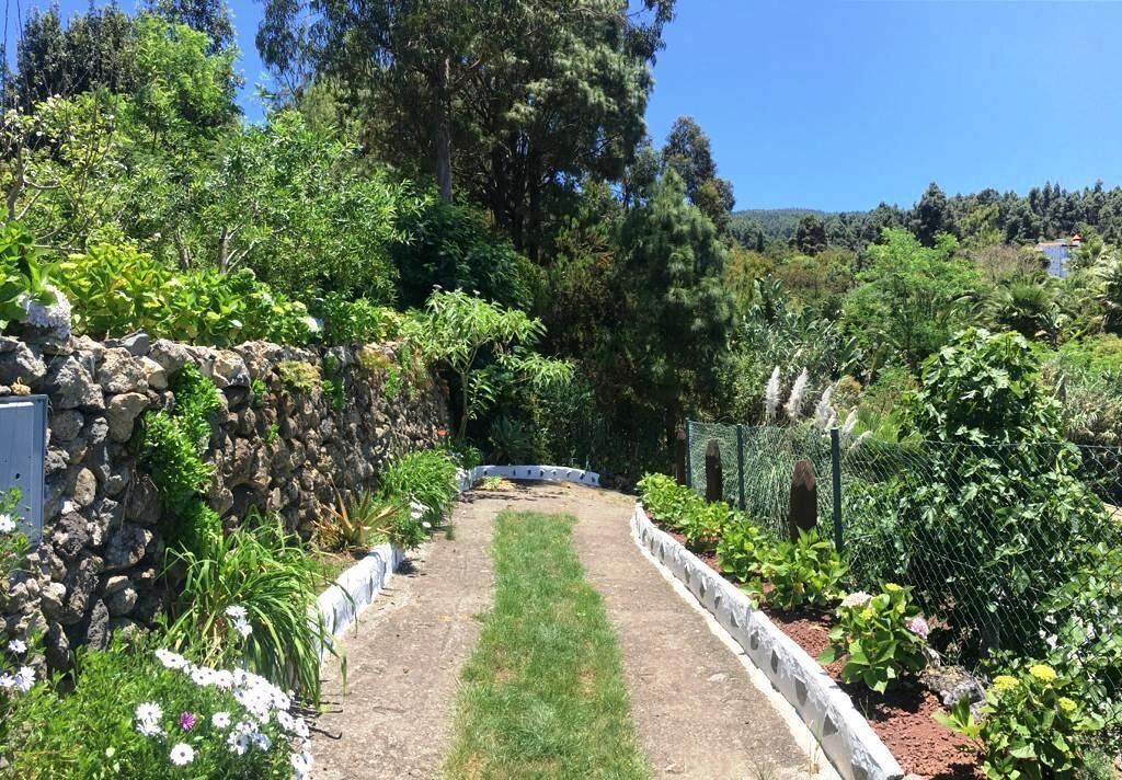 Photo of Outdoor in Icod de los Vinos