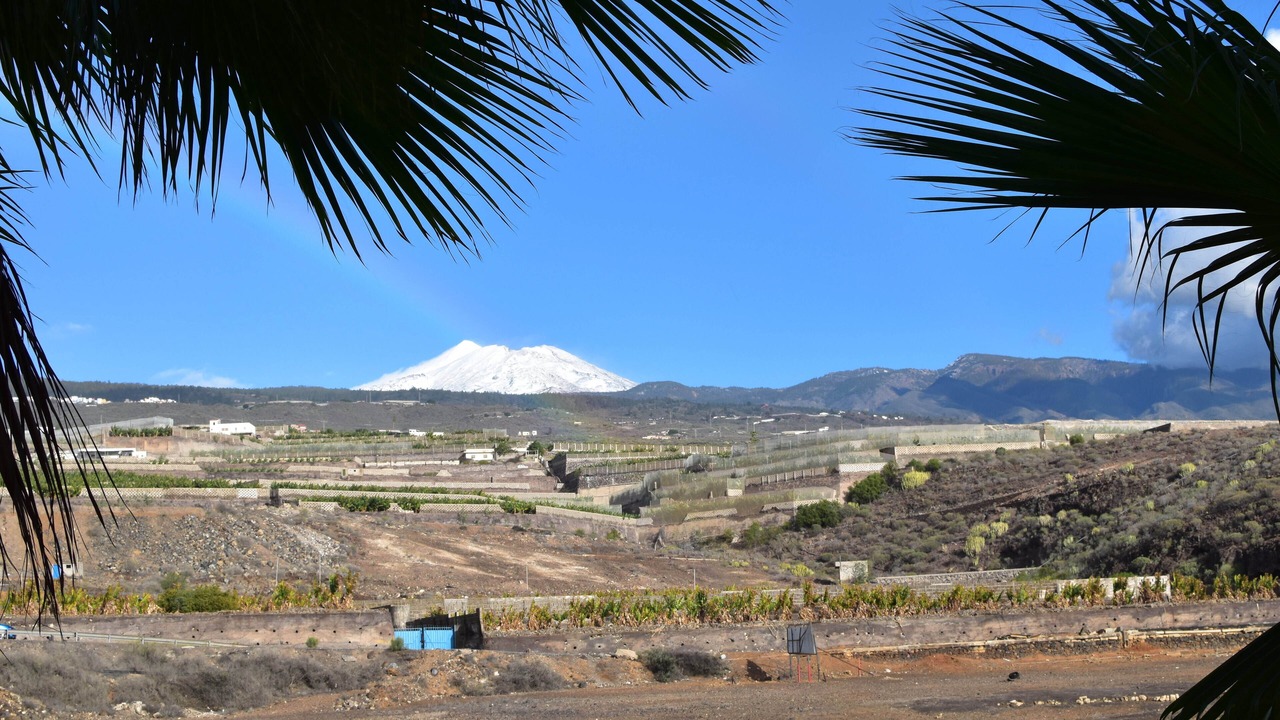 Photo of Others in Guia de Isora