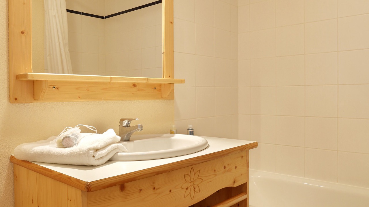 Photo of Bathroom in La Toussuire