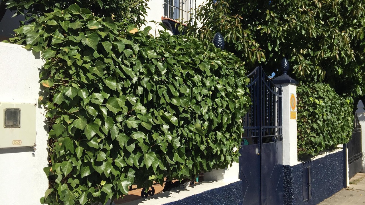 Photo of Outdoor in Ronda
