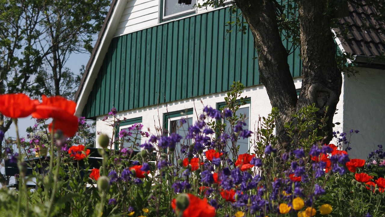 Photo of Outdoor in Kating