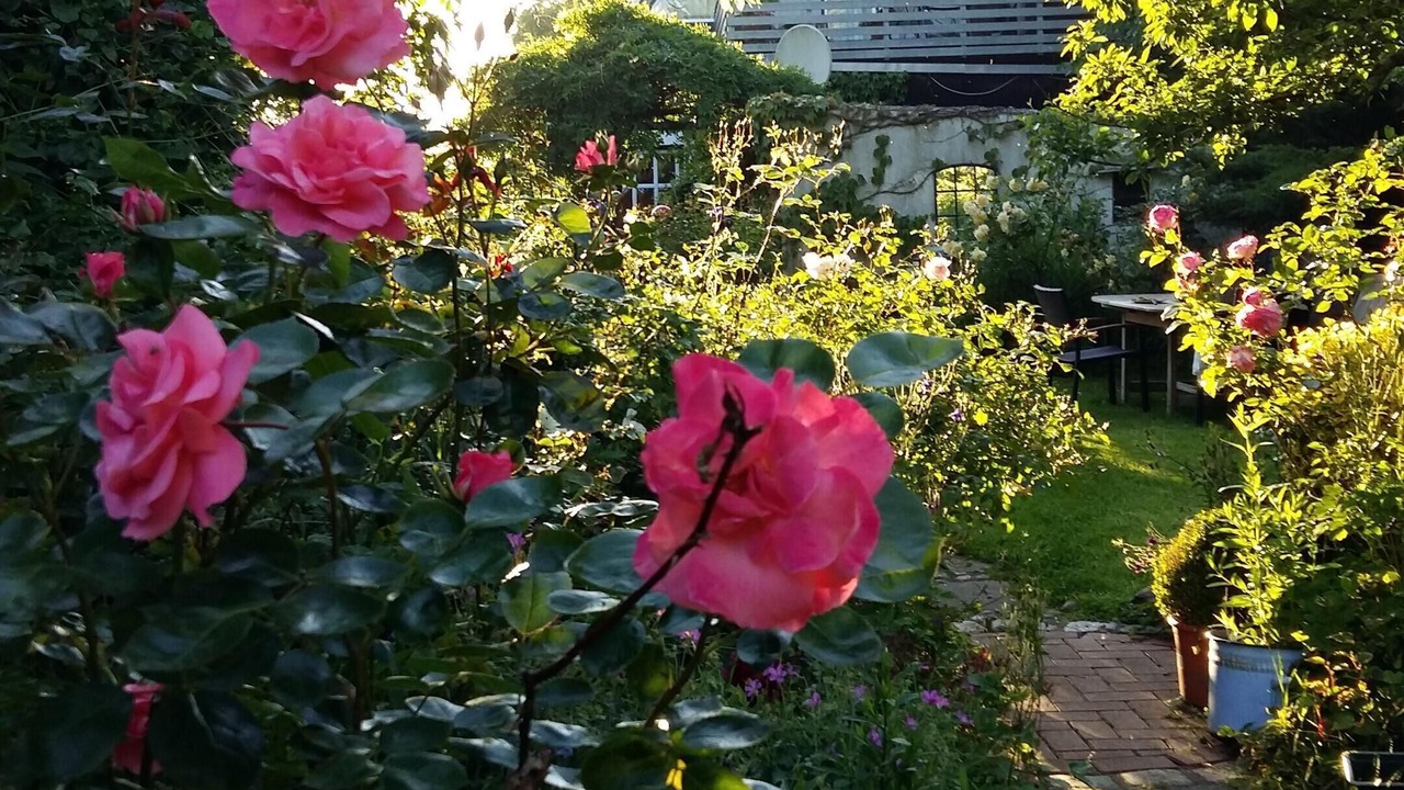 Photo of Outdoor in Wesselburen