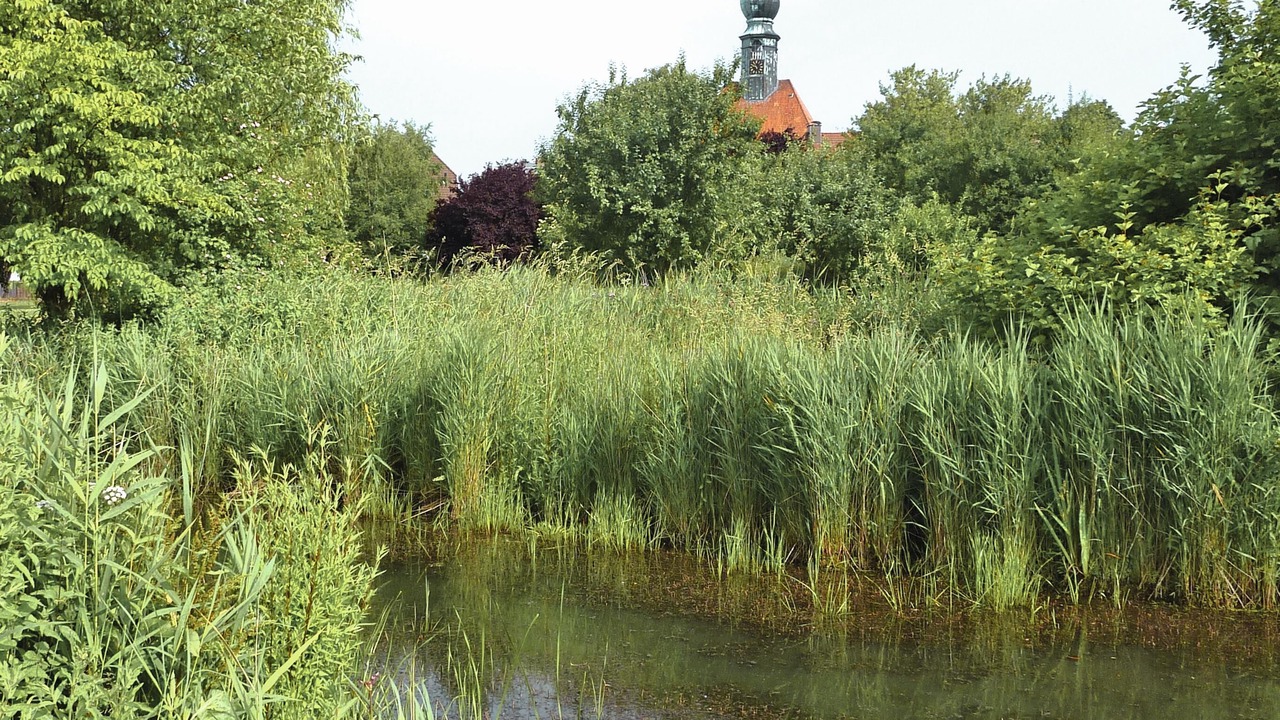 Photo of Outdoor in Wesselburen