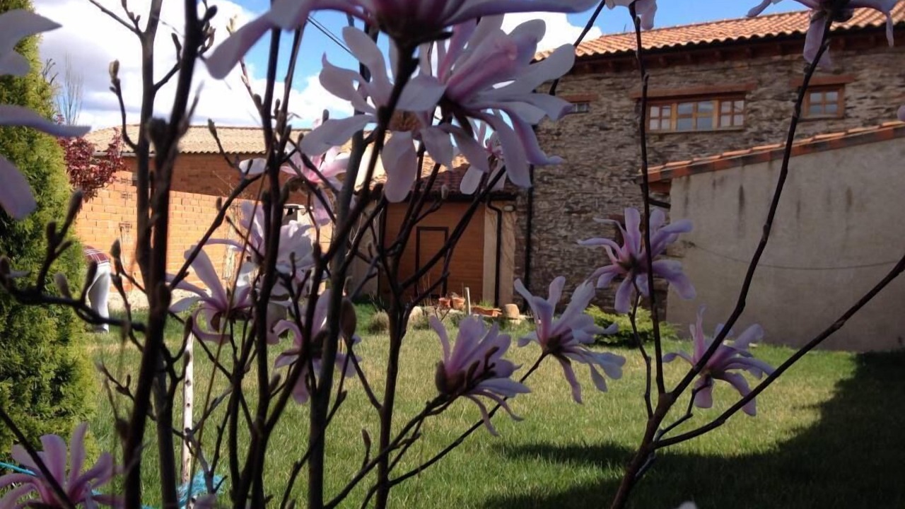 Photo of Outdoor in Muga de Alba