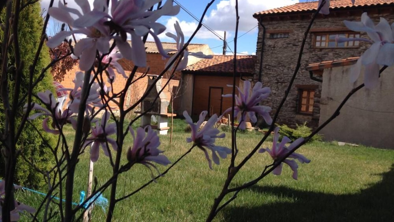 Photo of Outdoor in Muga de Alba