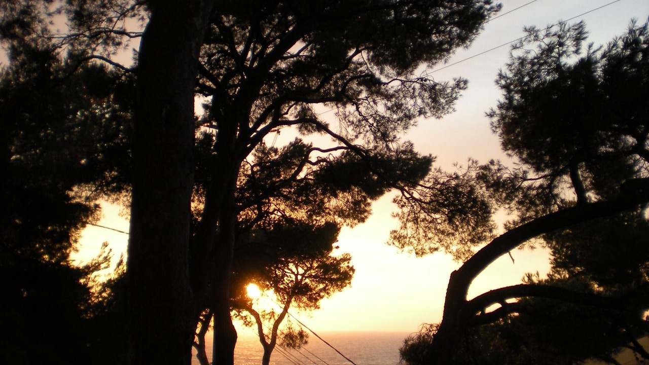 Photo of Others in Ensues-la-Redonne