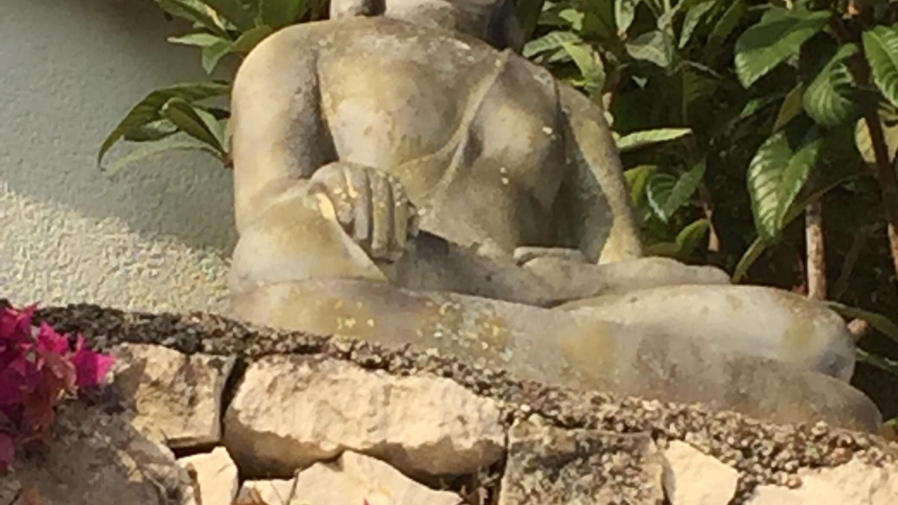 Photo of Outdoor in Benissa Coast