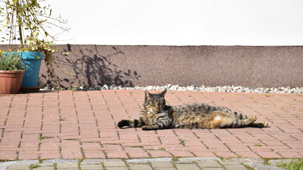 Photo of Outdoor in Kamminke