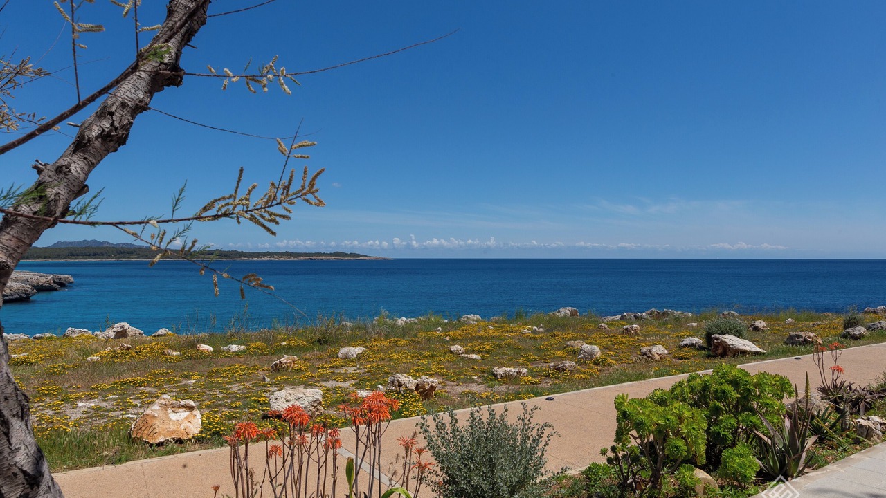 Photo of Others in S'Illot-Cala Morlanda