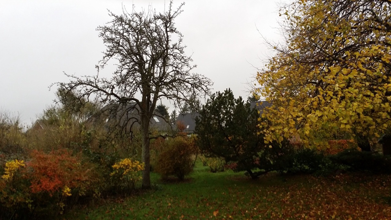 Photo of Outdoor in Wobbenbull