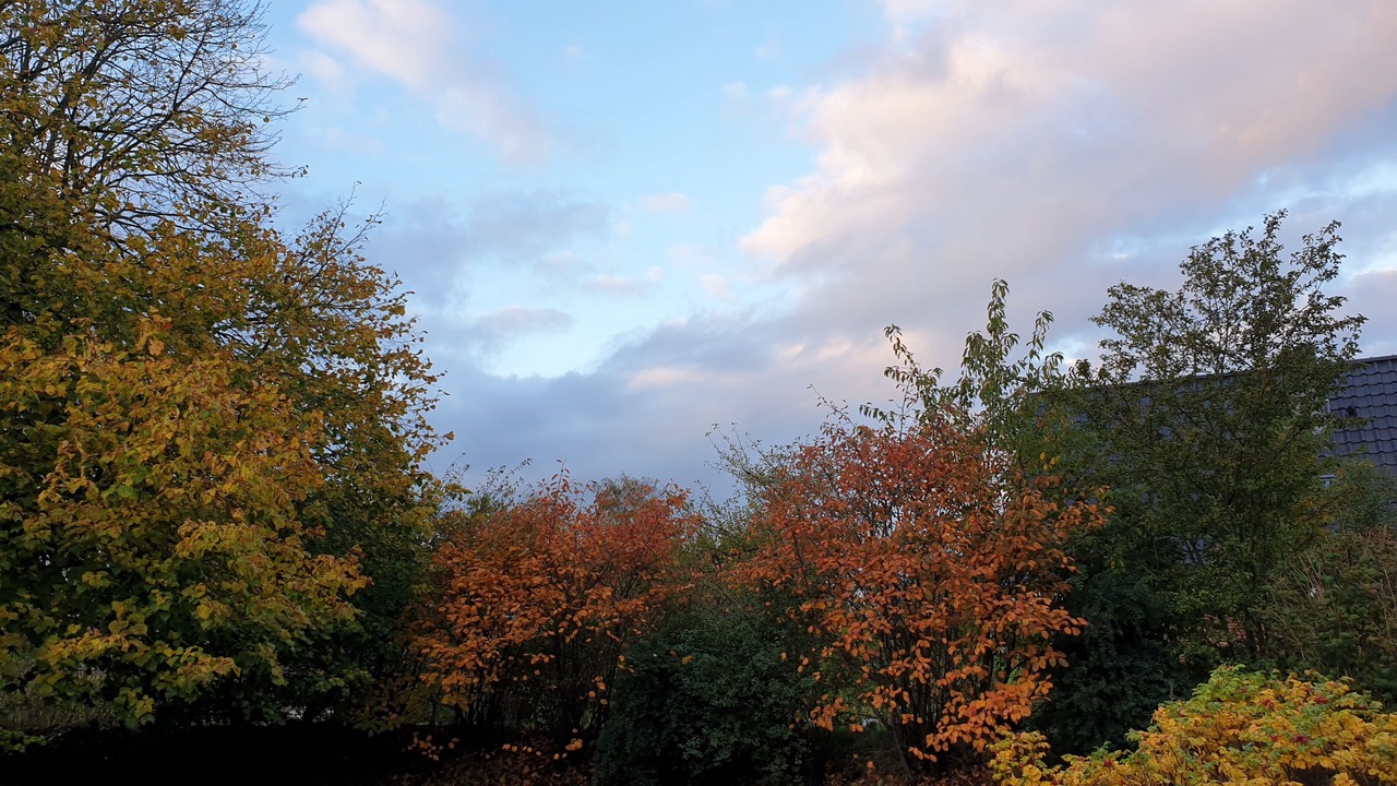 Photo of Outdoor in Wobbenbull