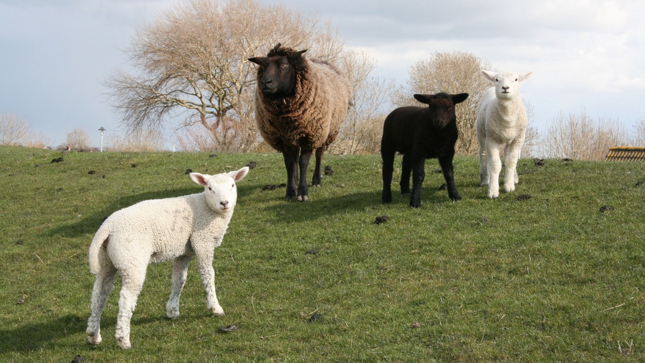 Photo of Outdoor in Wobbenbull