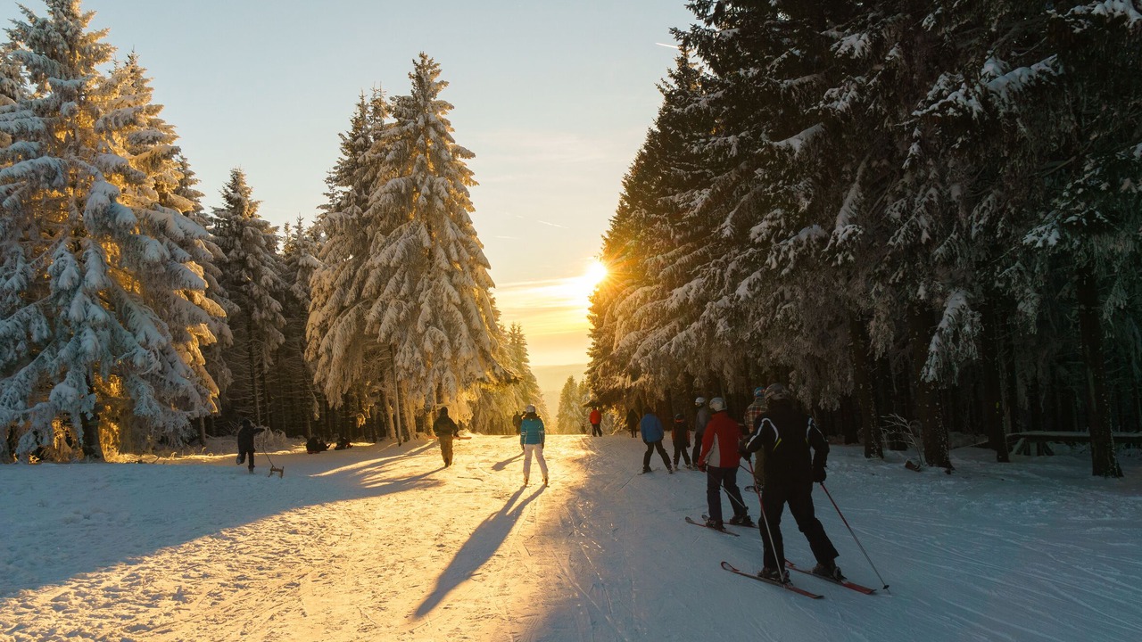 Photo of Others in Hahnenklee