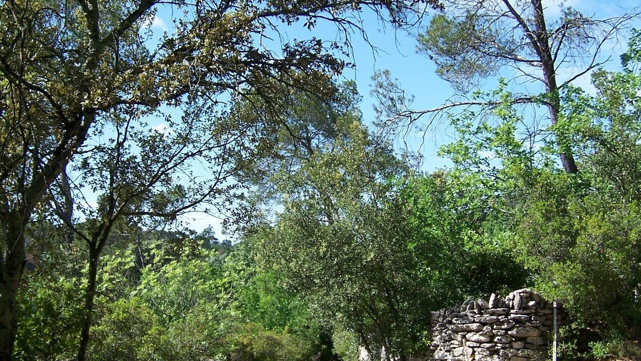 Photo of Outdoor in Uzes