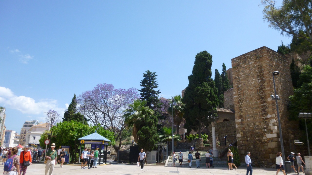 Photo of Outdoor in Centro