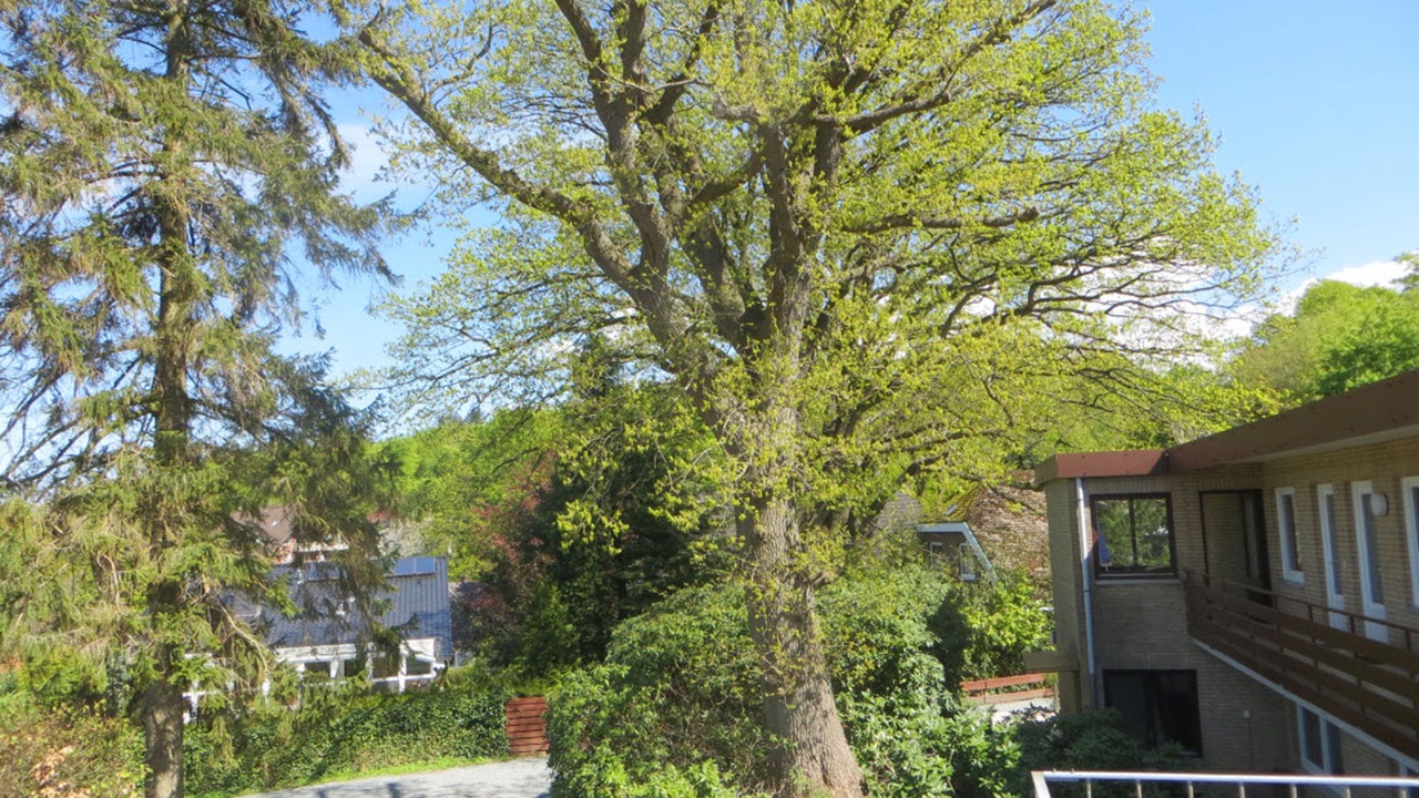 Photo of Outdoor in Malente