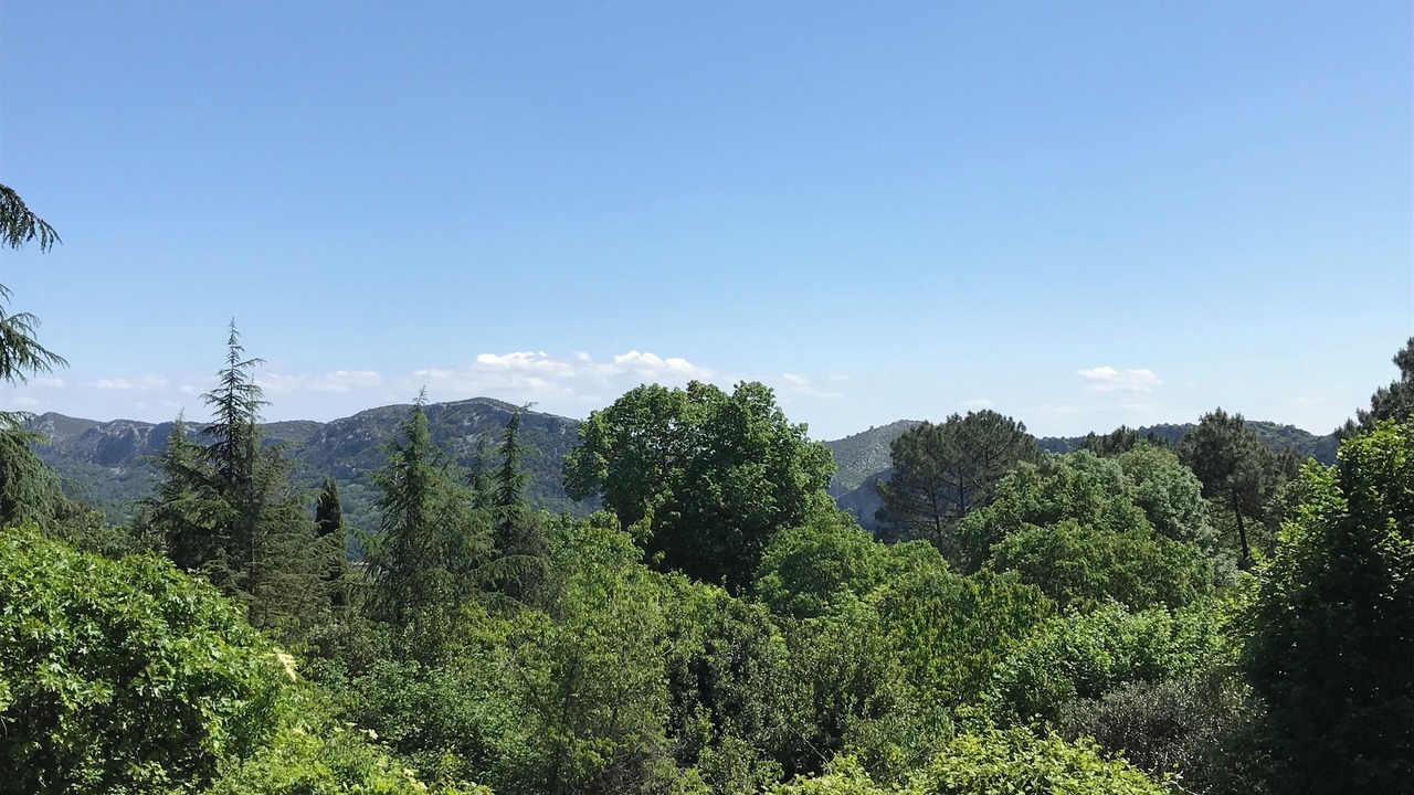 Photo of Outdoor in Anduze