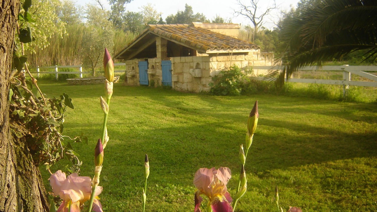 Photo of Outdoor in Arles