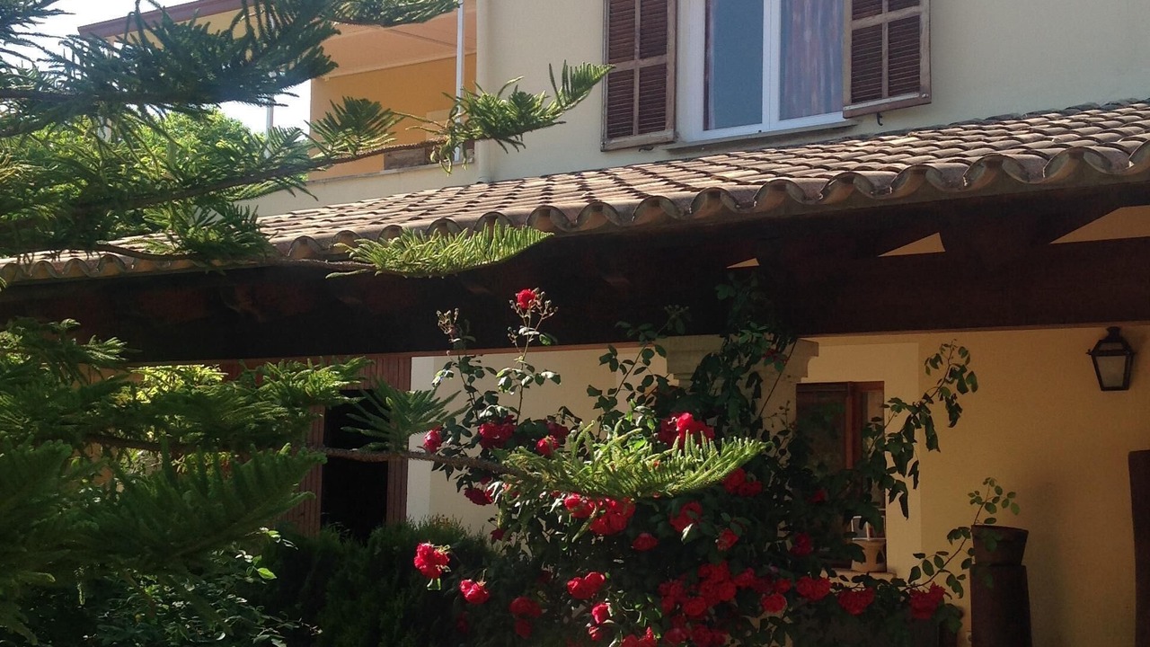 Photo of Outdoor in Esporles
