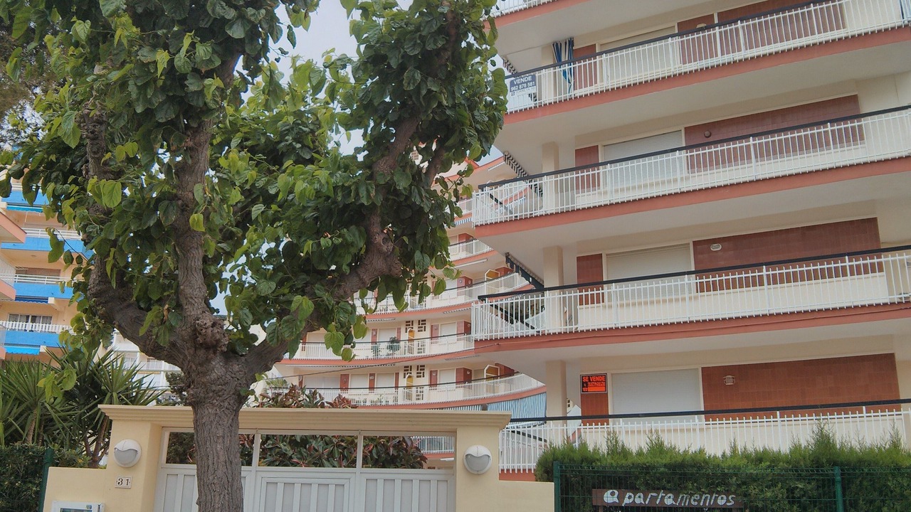 Photo of Outdoor in Grau i Platja