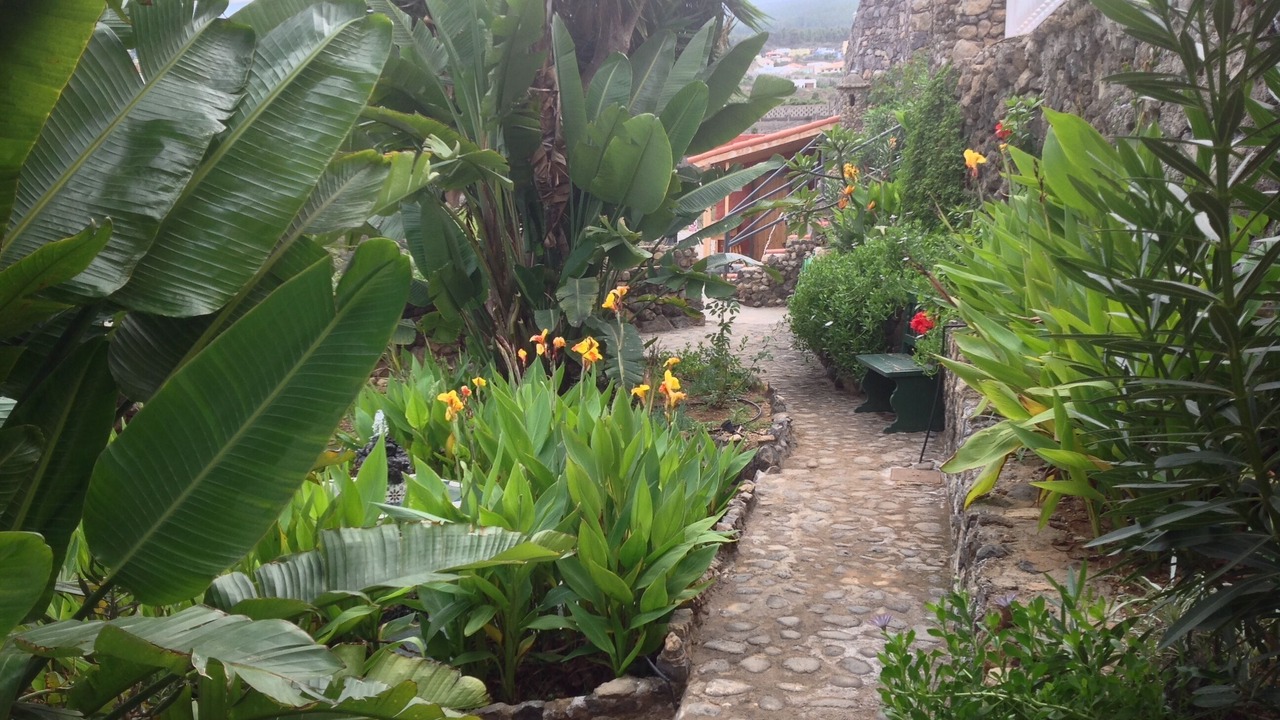 Photo of Outdoor in Buen Paso