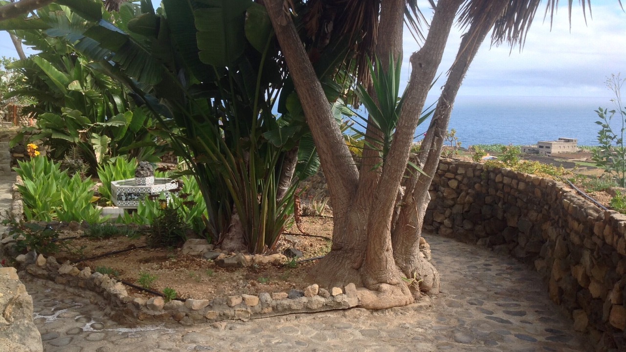 Photo of Outdoor in Buen Paso