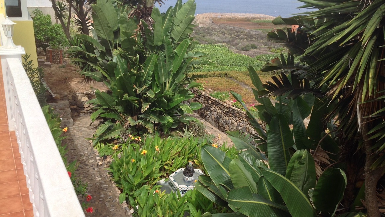 Photo of Outdoor in Buen Paso