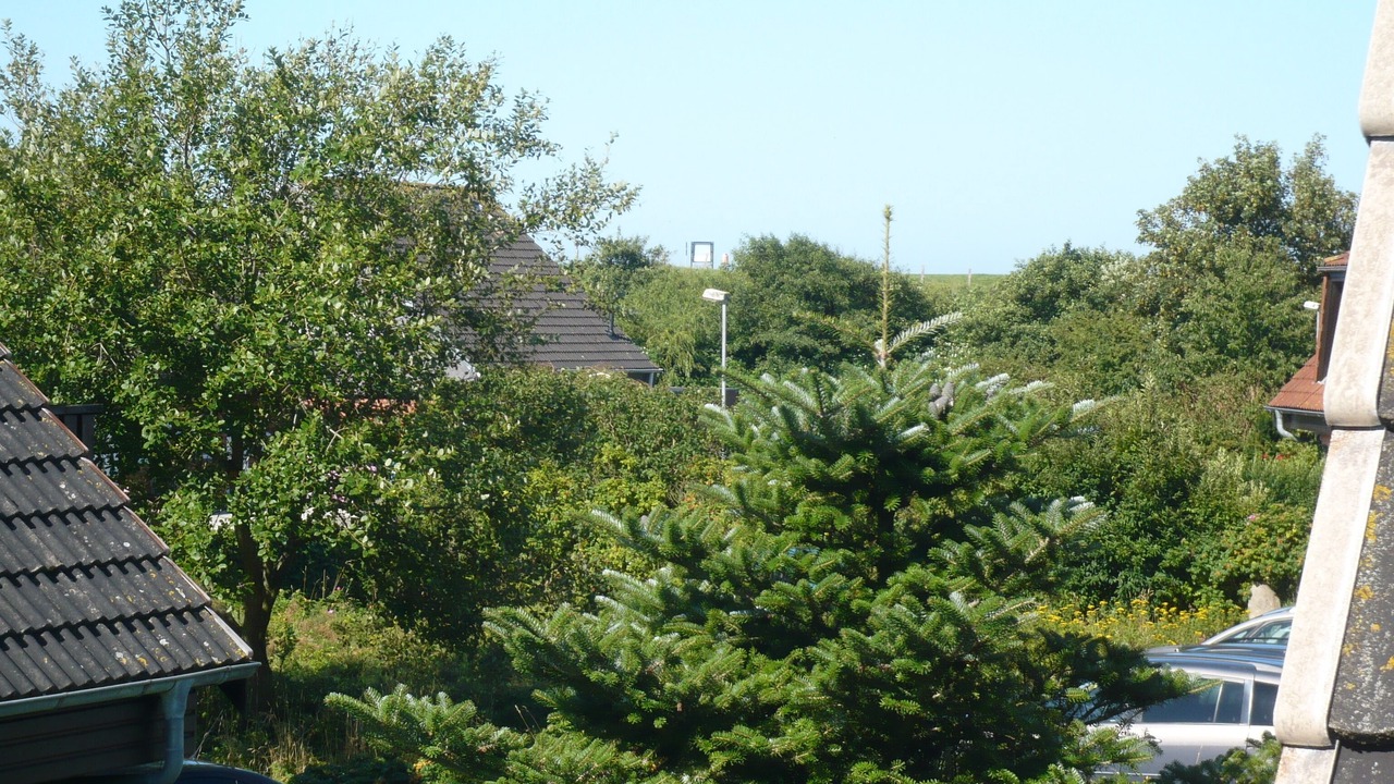Photo of Outdoor in Friedrichskoog-Spitze