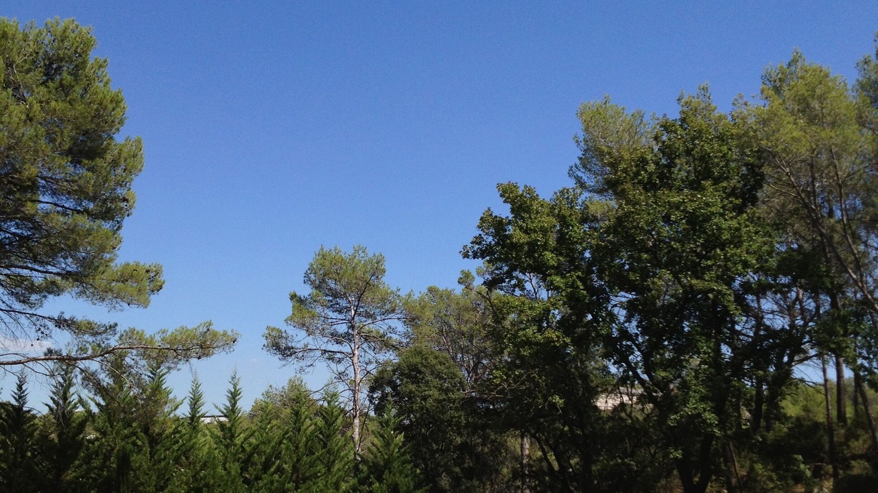 Photo of Outdoor in Grand Sud