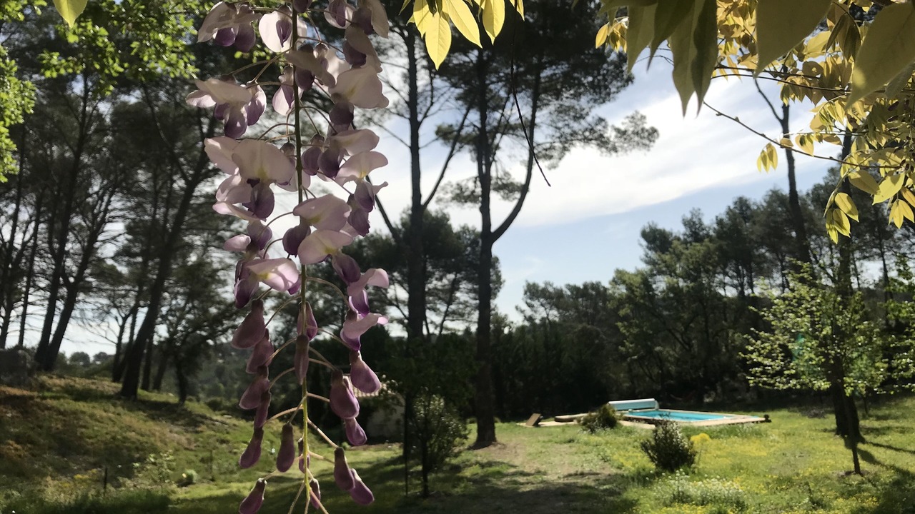 Photo of Outdoor in Grand Sud