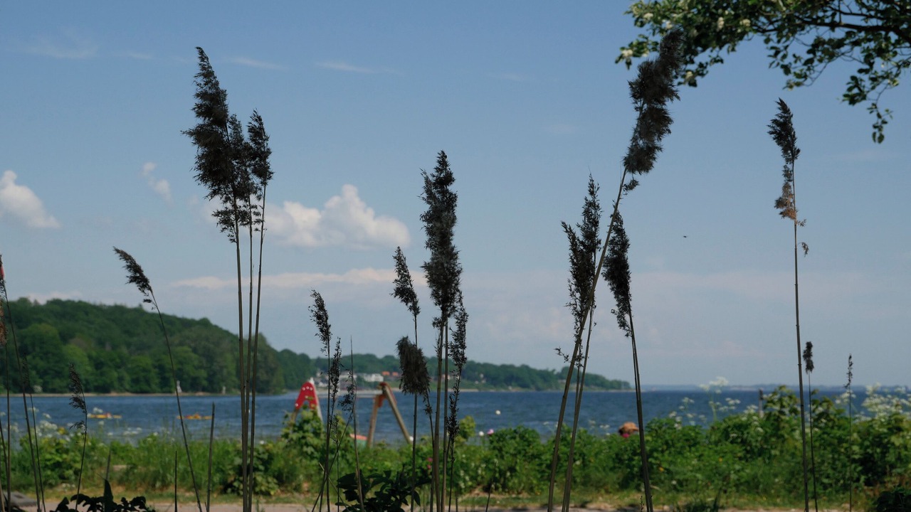 Photo of Others in Wassersleben