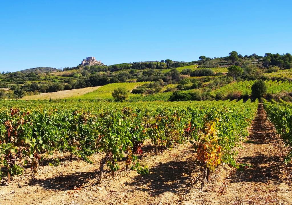 Photo of Outdoor in Cascastel-des-Corbieres