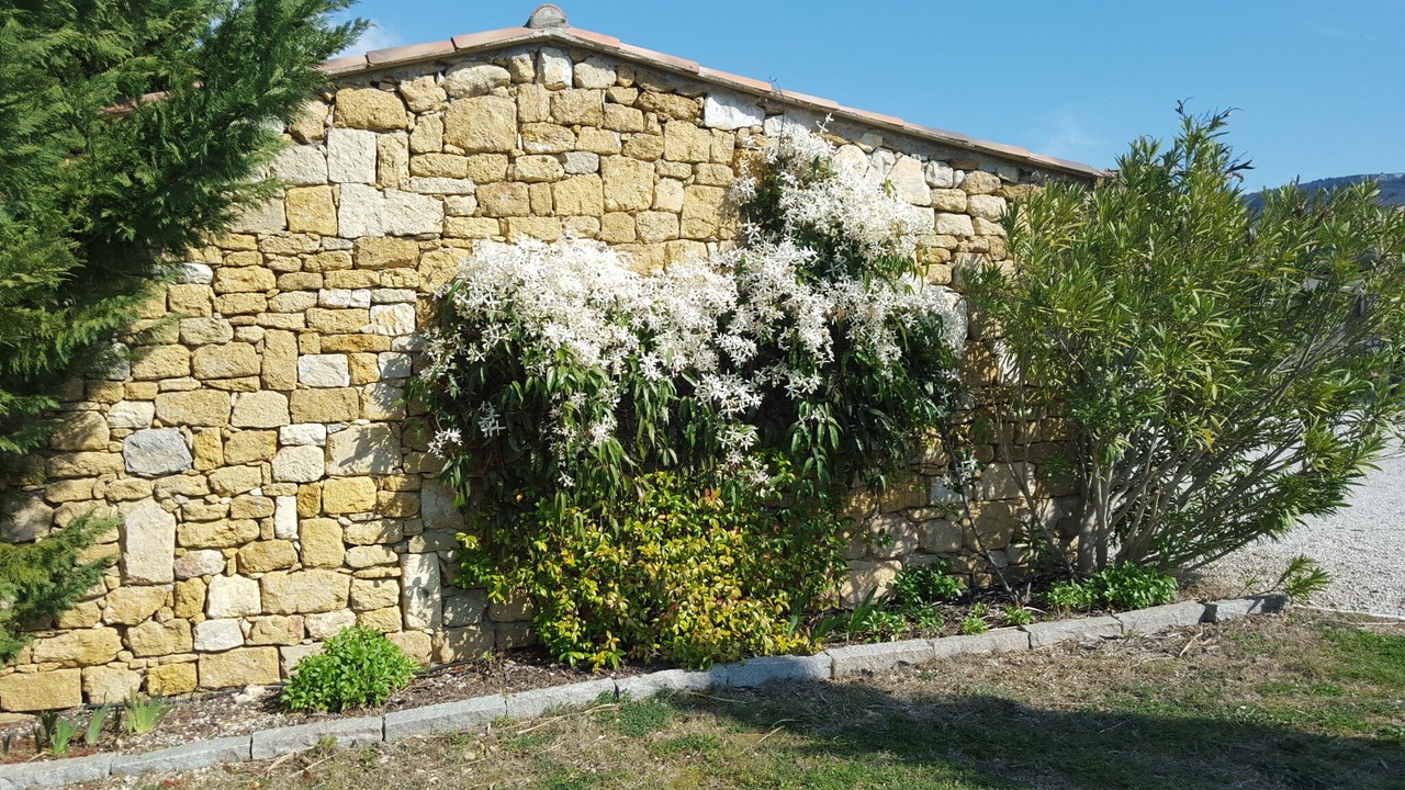 Photo of Outdoor in Alleins