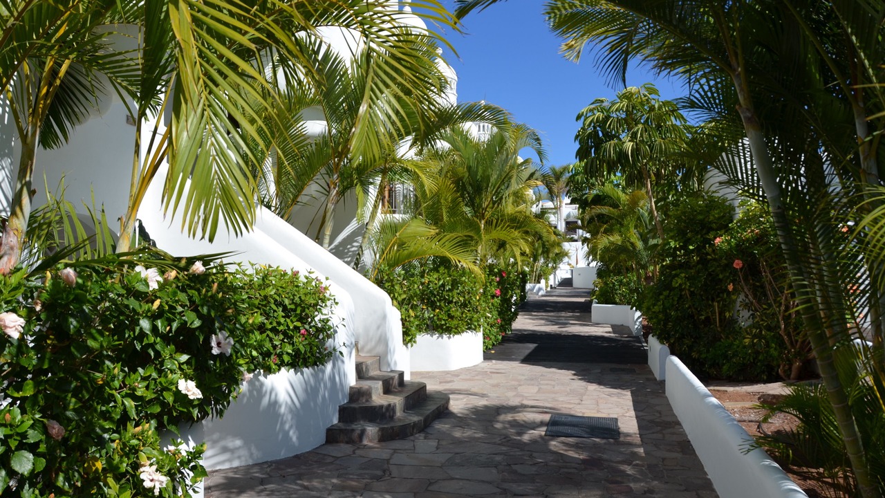 Photo of Outdoor in Costa Adeje
