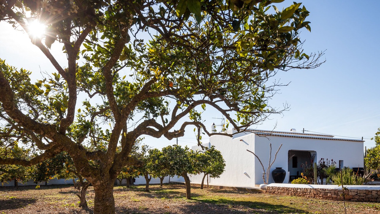 Photo of Outdoor in Sant Antoni de Portmany