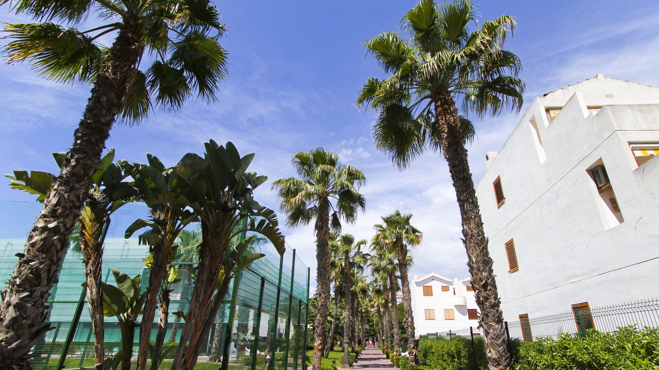 Photo of Outdoor in La Pineda