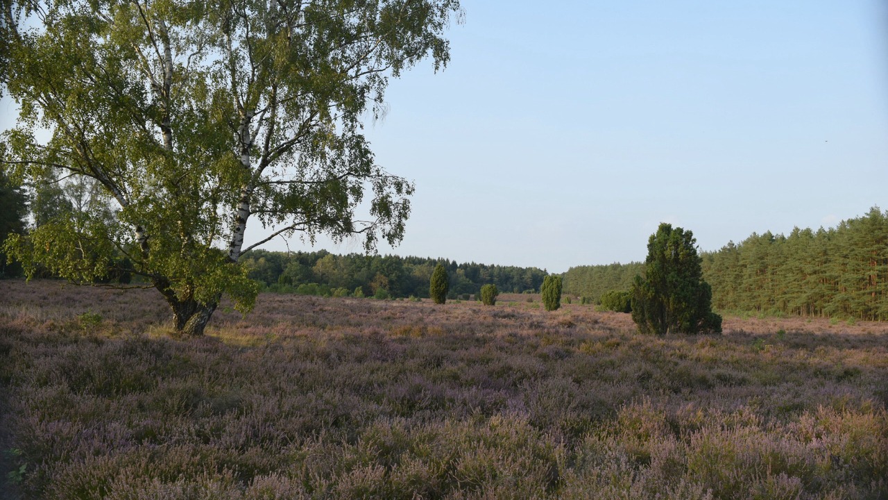 Photo of Outdoor in Munster im Heidekreis