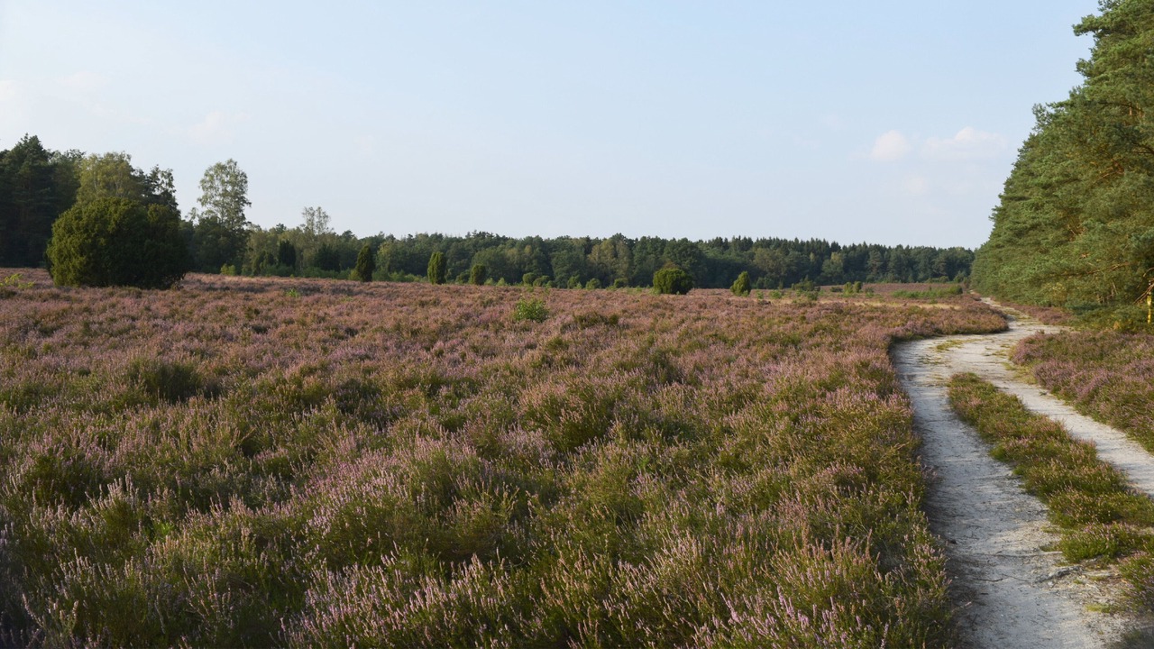 Photo of Outdoor in Munster im Heidekreis