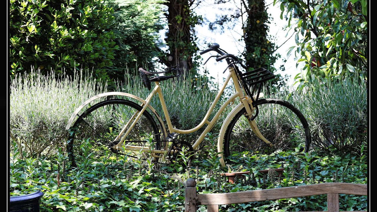 Photo of Outdoor in Rognonas