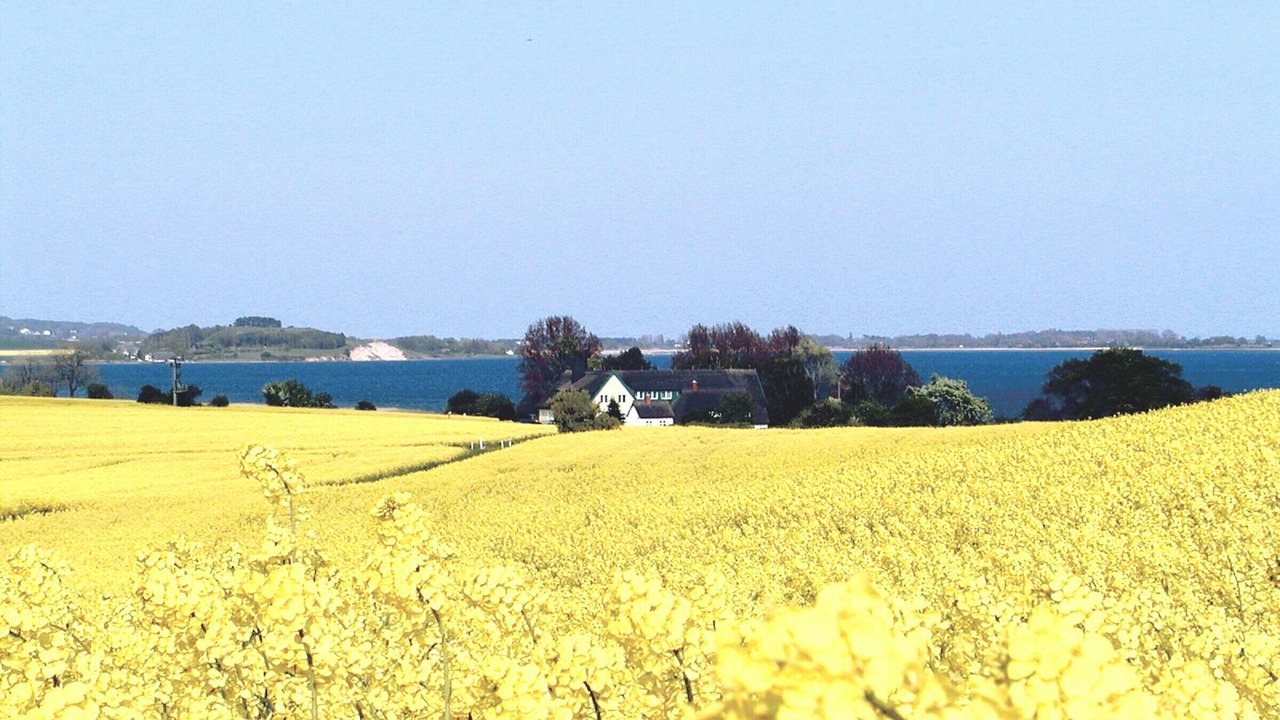 Photo of Outdoor in Alt Reddevitz