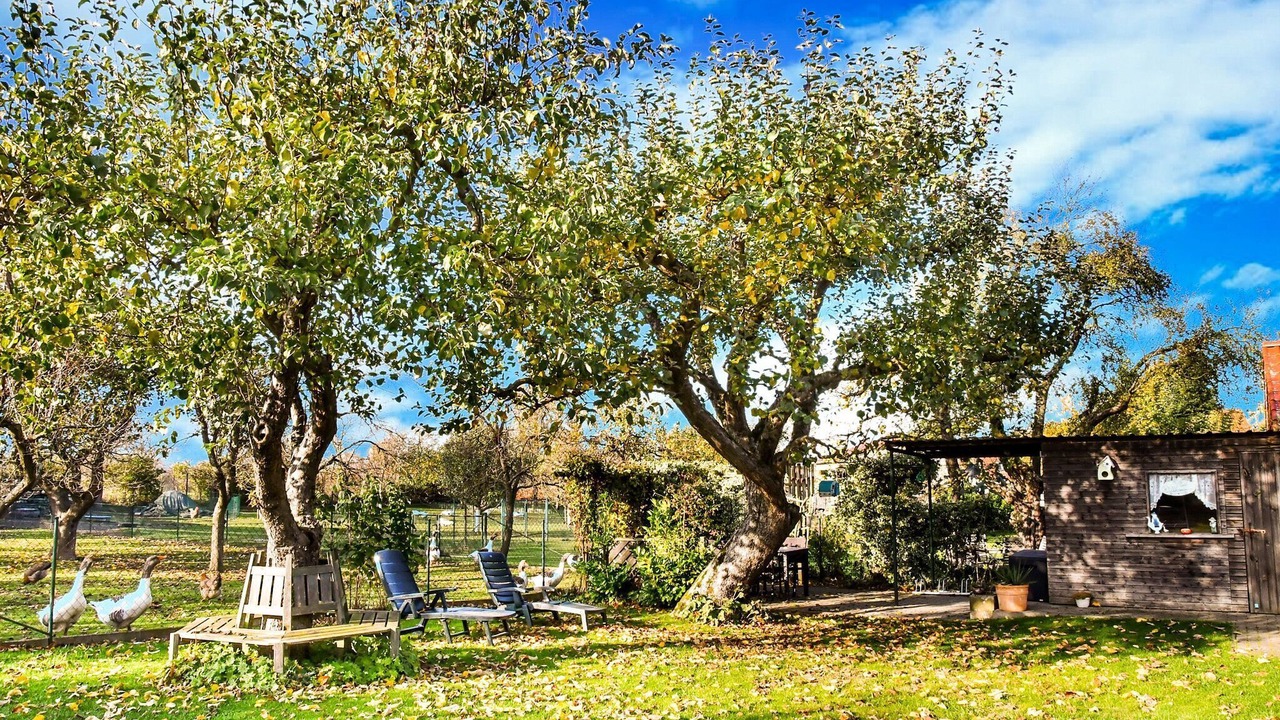 Photo of Outdoor in Thorstorf