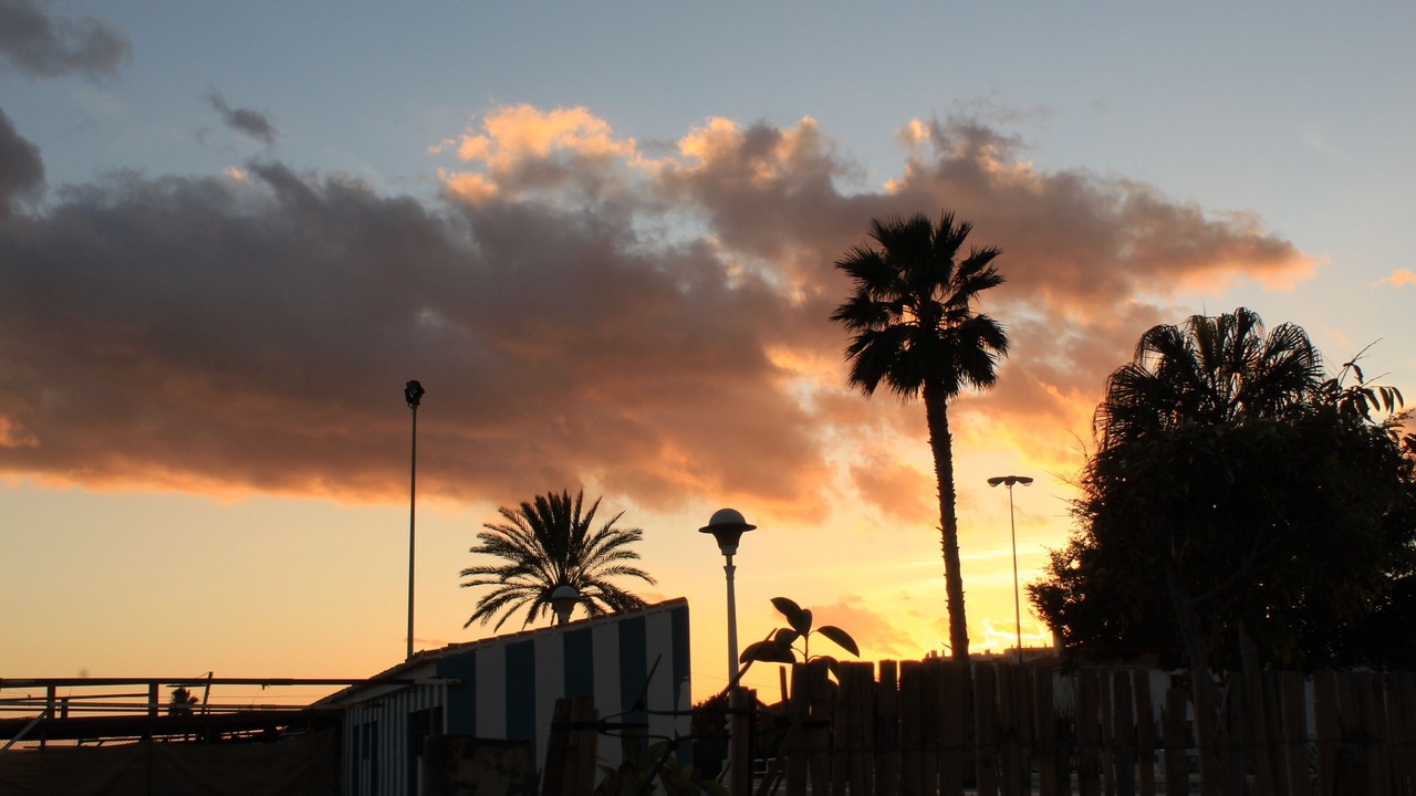 Photo of Others in Torre del Mar