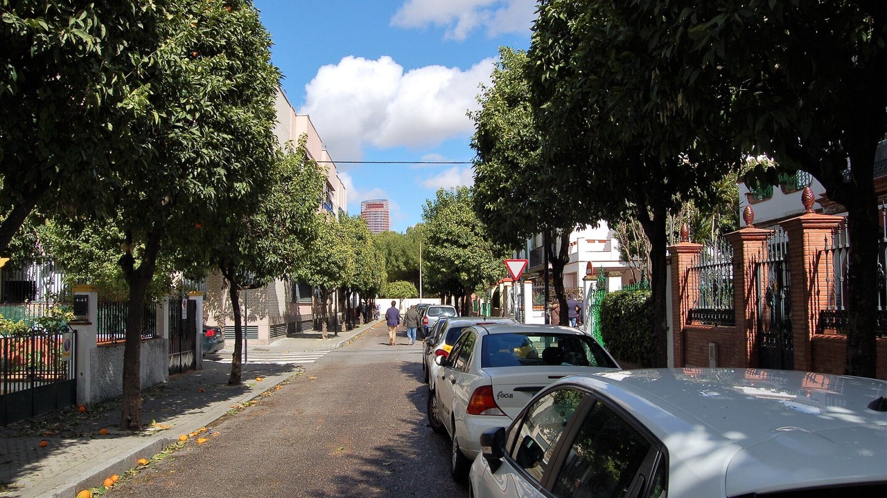 Photo of Others in Triana