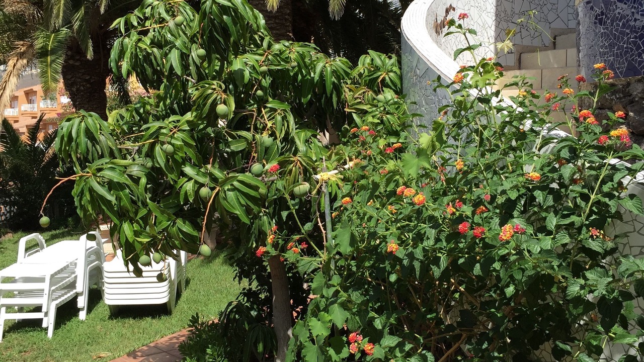 Photo of Outdoor in Tabaiba