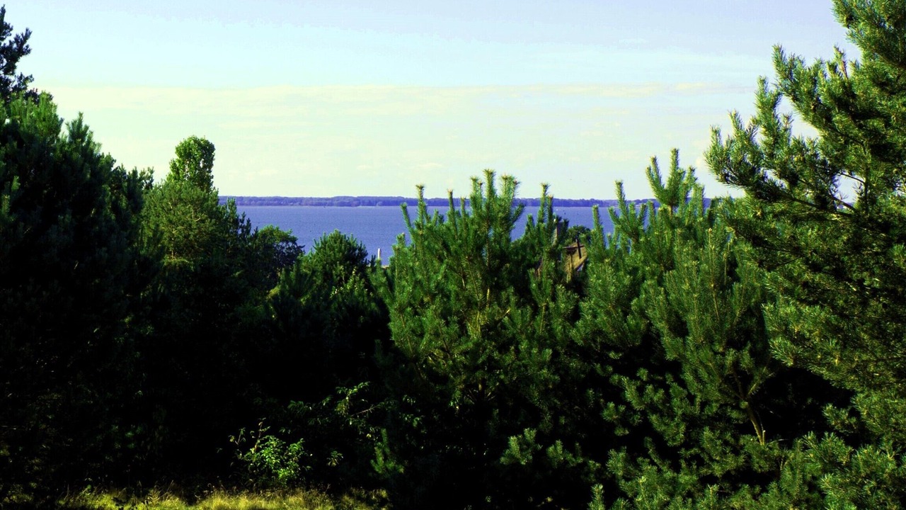 Photo of Outdoor in Loddin