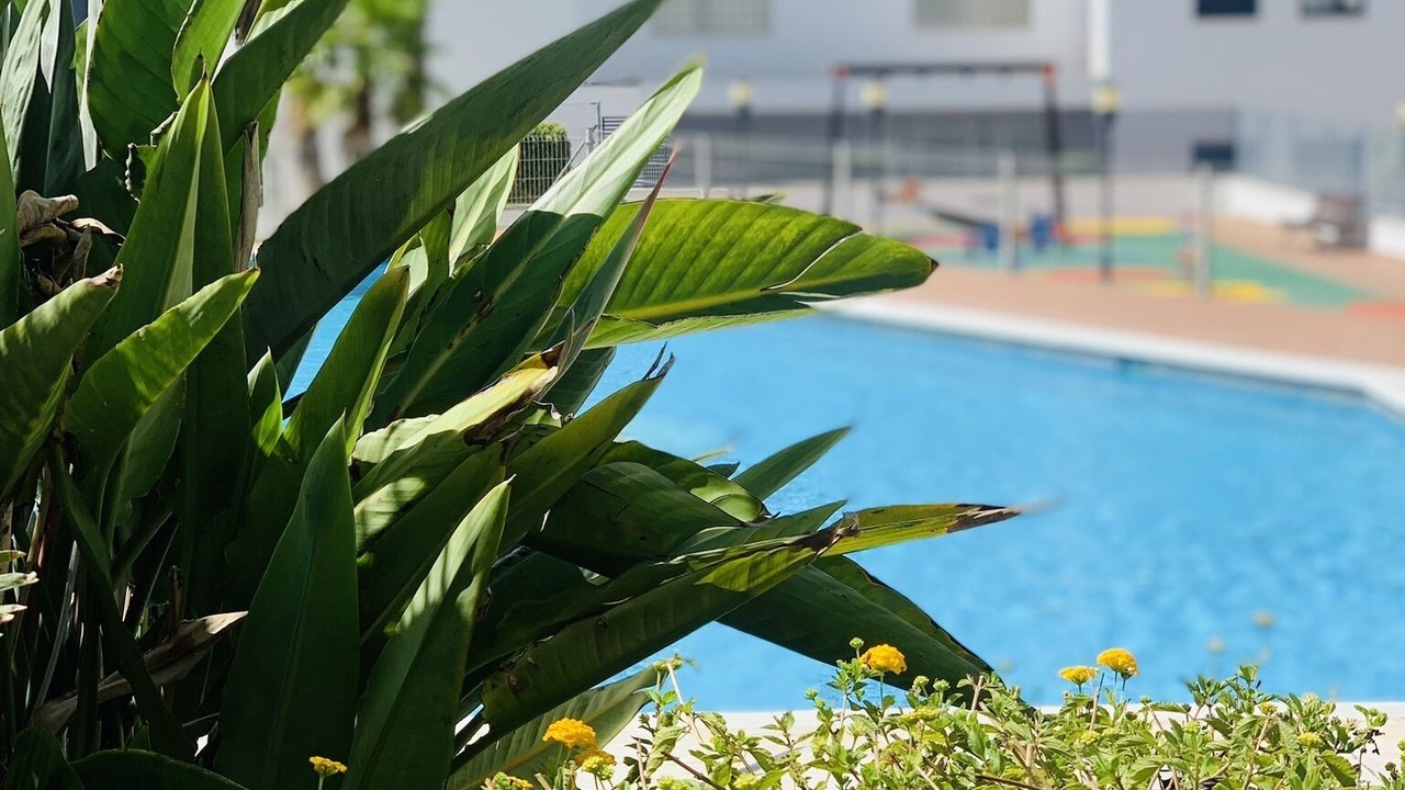 Photo of Outdoor in Conil de la Frontera